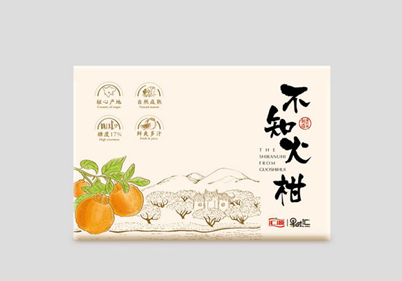 ˮ����װ���