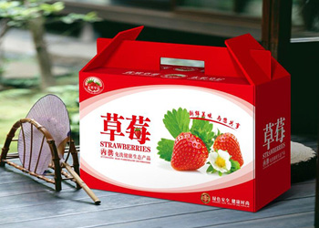 ��ɳ��װ���Ұ�װӡˢ���Զ��������ܻ���δ��--ʮ����ӡ��װ