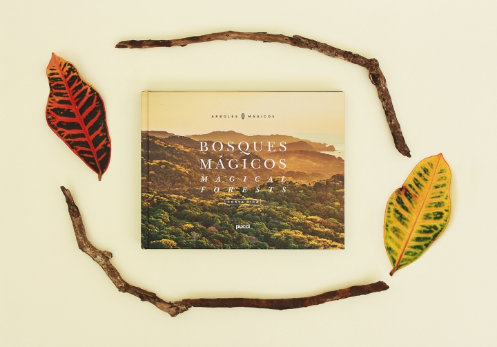 ��ɳ����ӡˢ