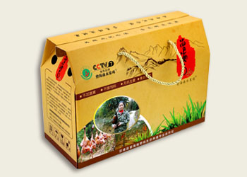 ��ɳ��װ�г���Ϊ������ѡ���װ�и�ע��ϸ��--ʮ����ӡ��װ