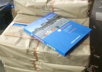 ���ϵذ�ɫ���������