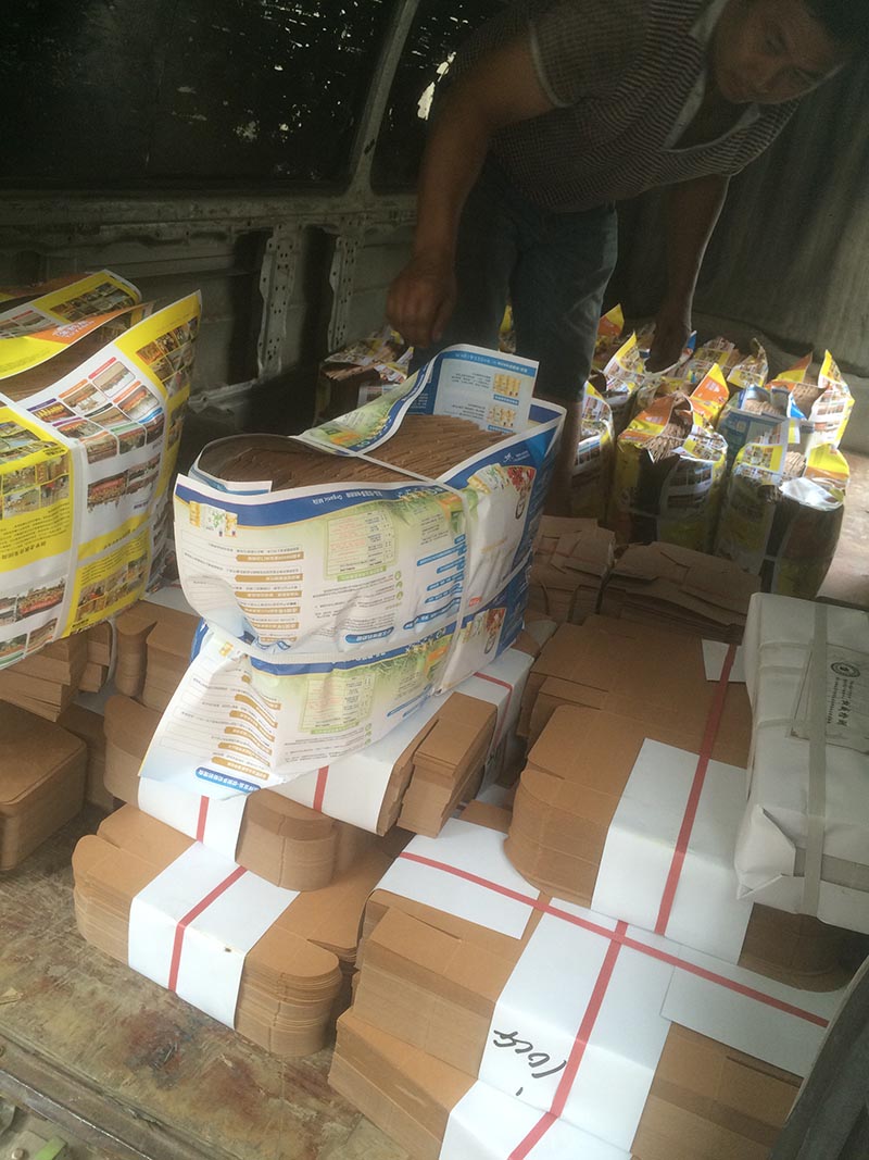 ����ţƤֽ�а�װ��