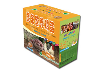 ���ϴ���ũ��ҵ__������װ���ϵ��