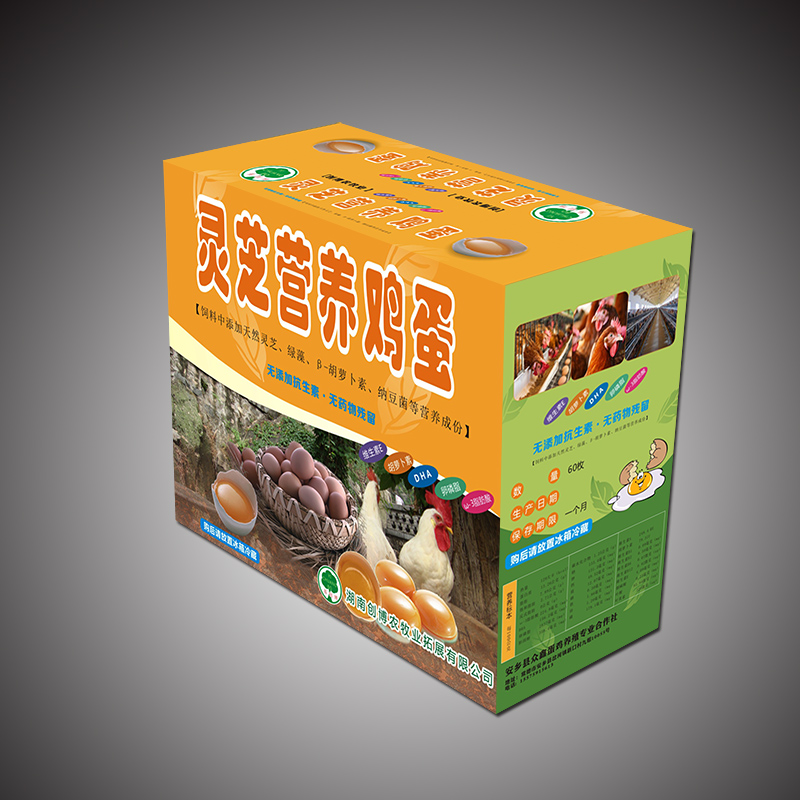 ��ɳ������װ���