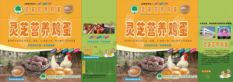 ������֥Ӫ��������װ�����