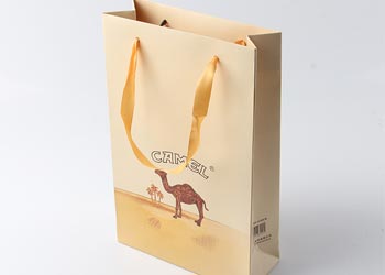 ��ɳ�����ӡˢ����ѡ��Ҫ��