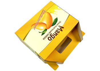 ���ϰ�װ��ˮ����װ���������Щԭ��