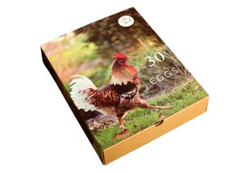 ΪʲôҪ��������װ�У�������ɳũ��Ʒ��װ�г�