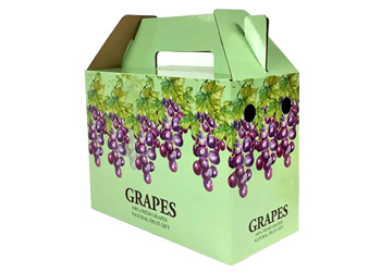 ��װ��ӡˢΪʲô�������������