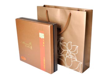 ��ɳ�±���װ�ж��Ƴ��õļ��ֹ�������Щ��