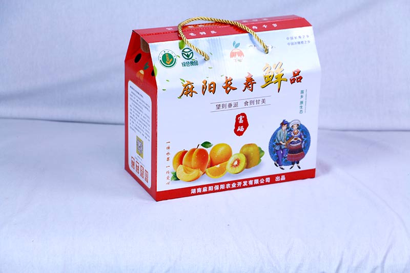 ֽ�а�װ�г���