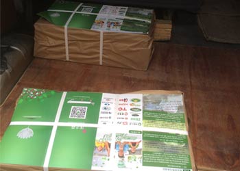 ��ɳ��֮ɭ������ҳ����ţƤֽ�������