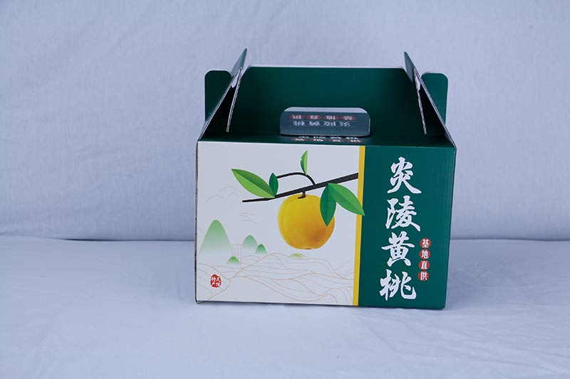 ��ɳ���ӡˢ��