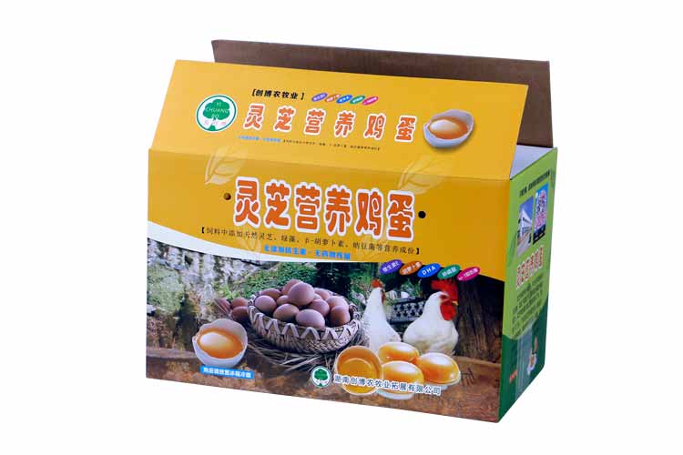 ��ɳũ��Ʒ��װ