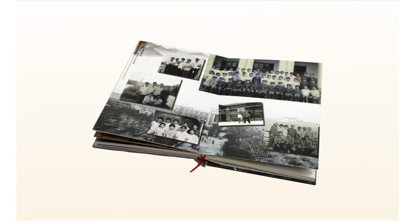 ��ɳ ӡˢ����