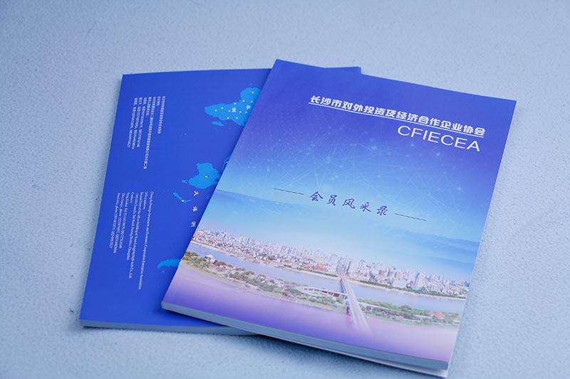 ��ɳ ӡˢ����