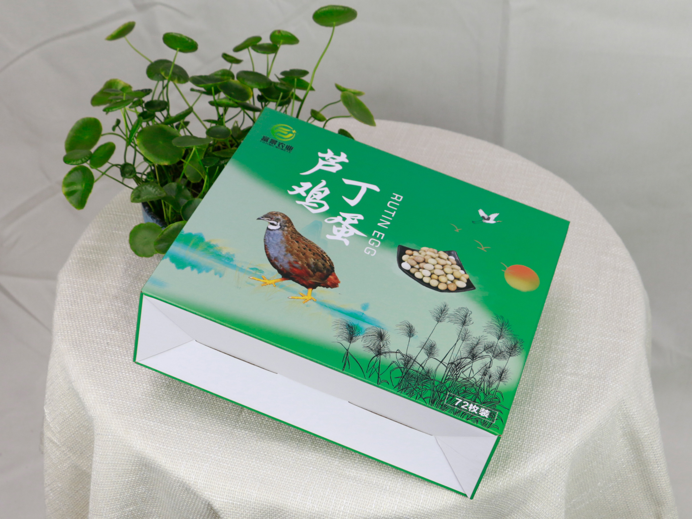 ��ɳ��װӡˢ���߽���װӡˢ����������--ʮ����ӡ��װ