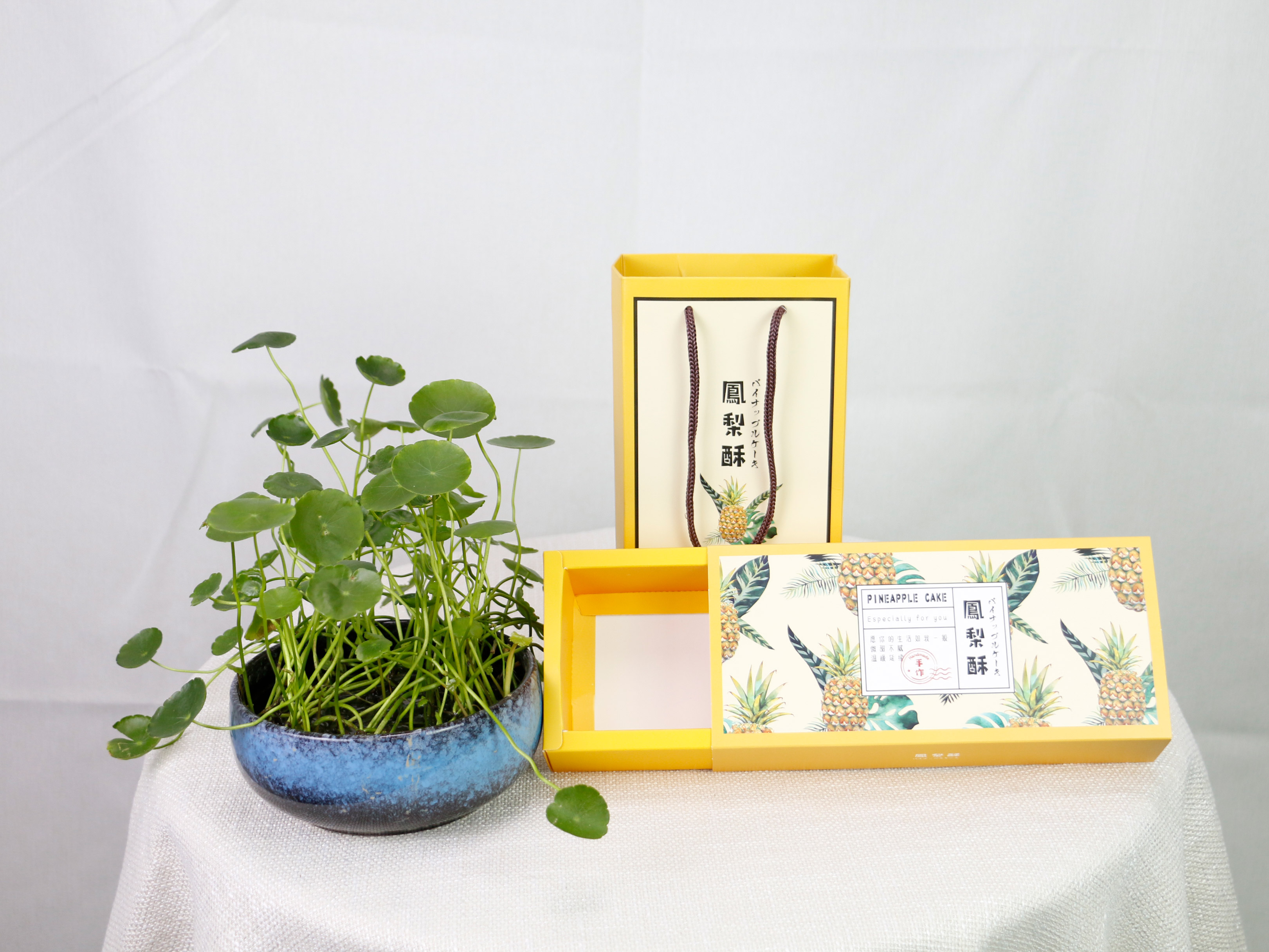 ��ɳ��װ ӡˢ���Ҿ�տ��װ��ƣ�Ϊ��Ʒ����Ѥ������---ʮ����ӡ��װ