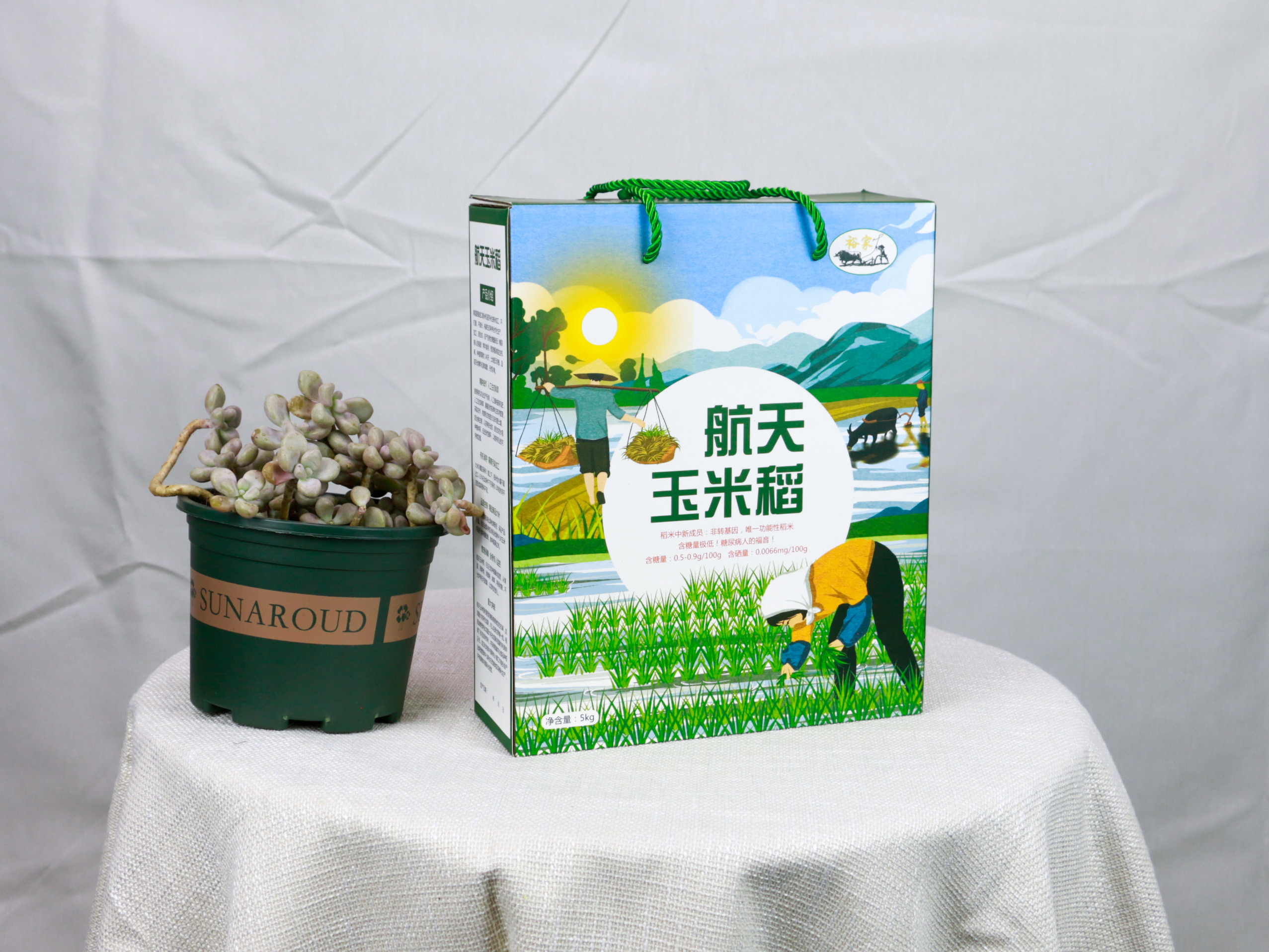 ��ɳ��װӡˢ�������װ��������;����Ʒ��֮��--ʮ����ӡ��װ